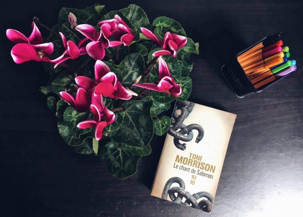 « Faites moi partager votre bonheur mais pas votre malheur » – Le chant de Salomon de Toni Morrison